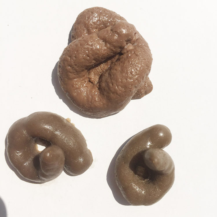 Fake poop from my cat