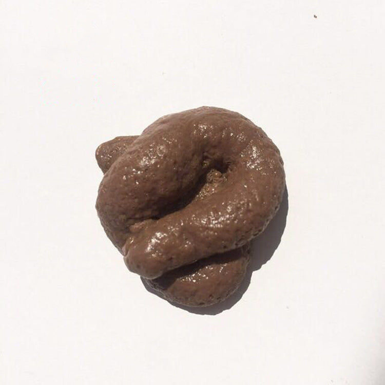 Fake poop from my cat