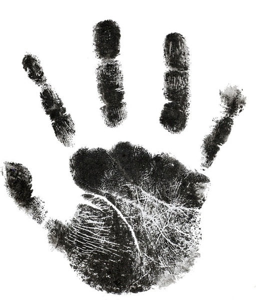 Paws print