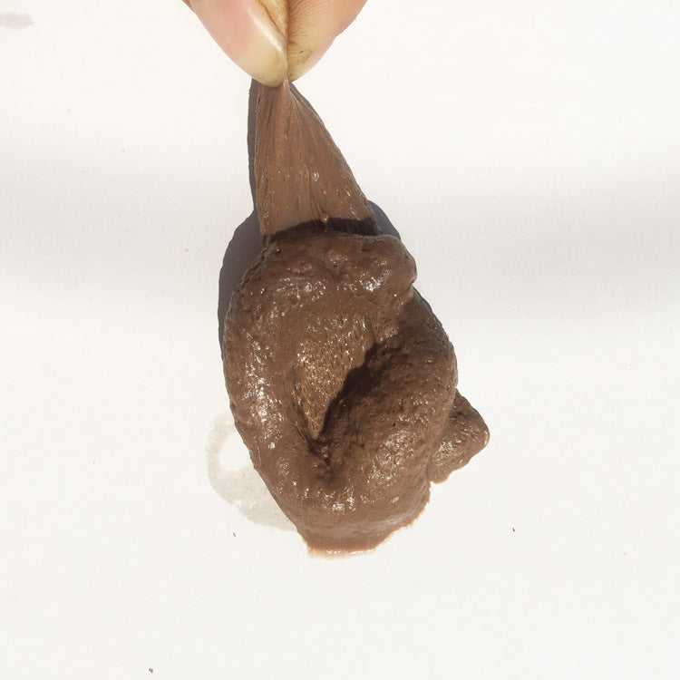 Fake poop from my cat