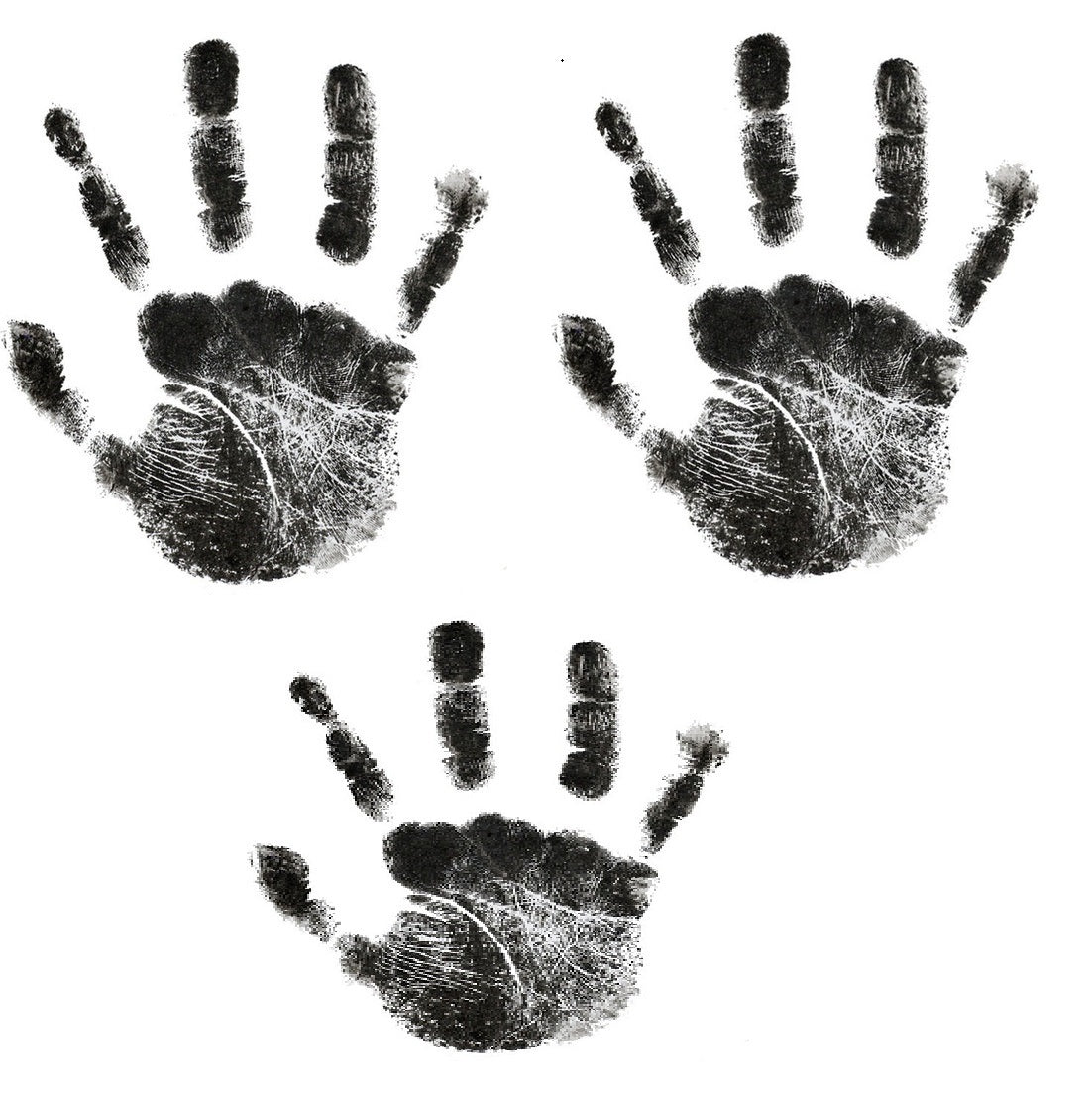 Paws print