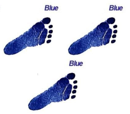 Paws print