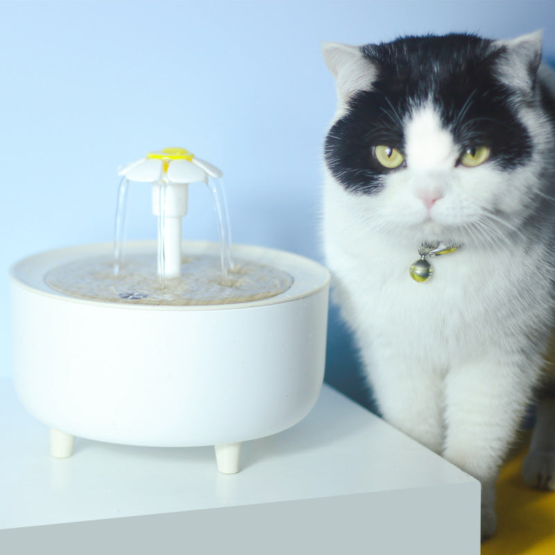 Pet Water Dispenser Automatic Loop Filtering