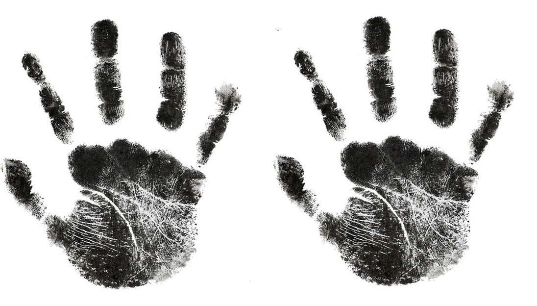 Paws print