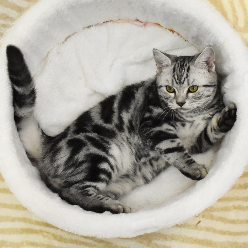 My cat’s favorite bed