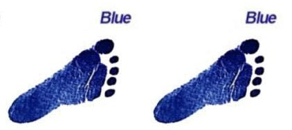 Paws print