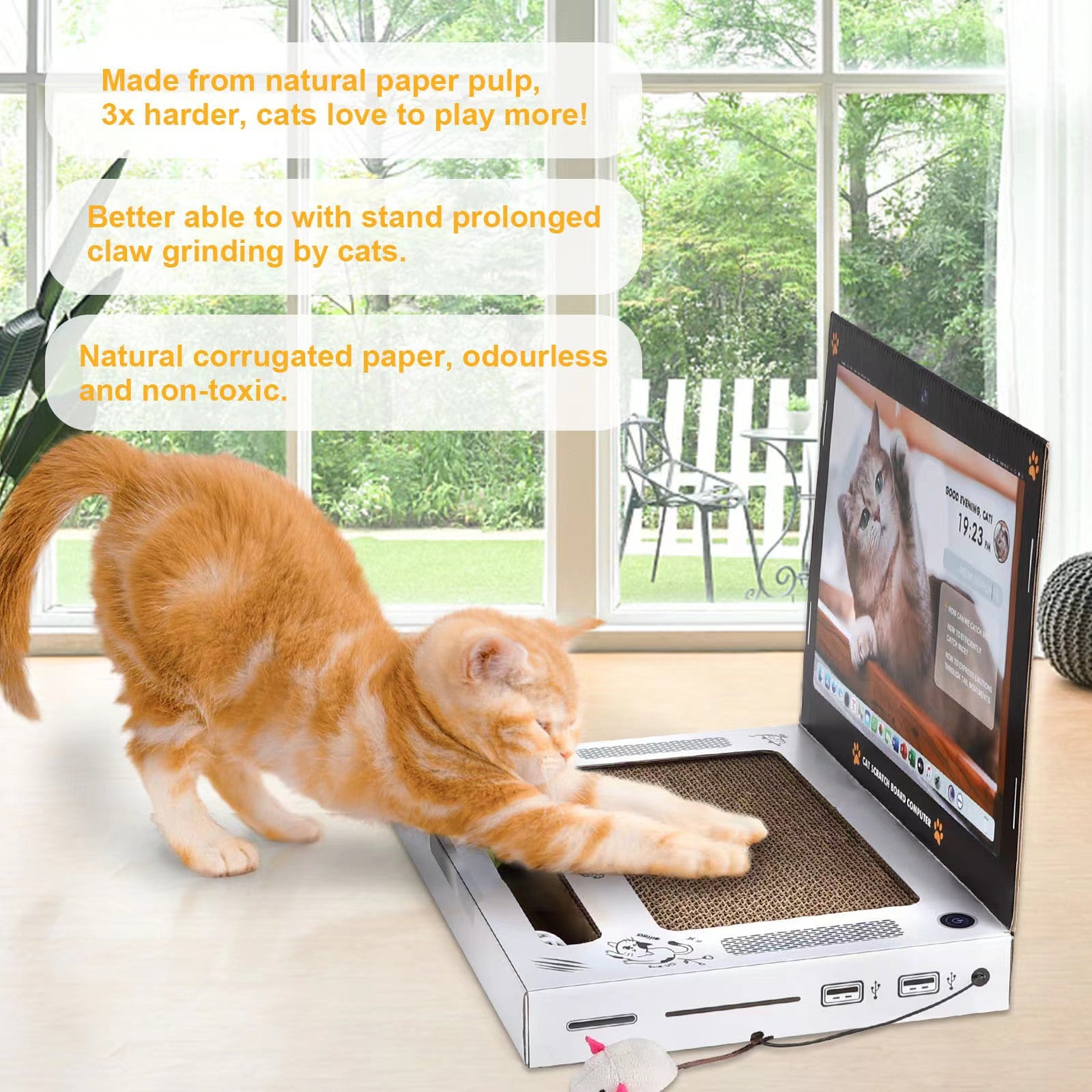 Cat Computer
